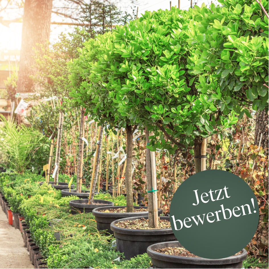 Abteilungsveratnwortliche*r Baumschule Abteilungsveratnwortliche*r Baumschule