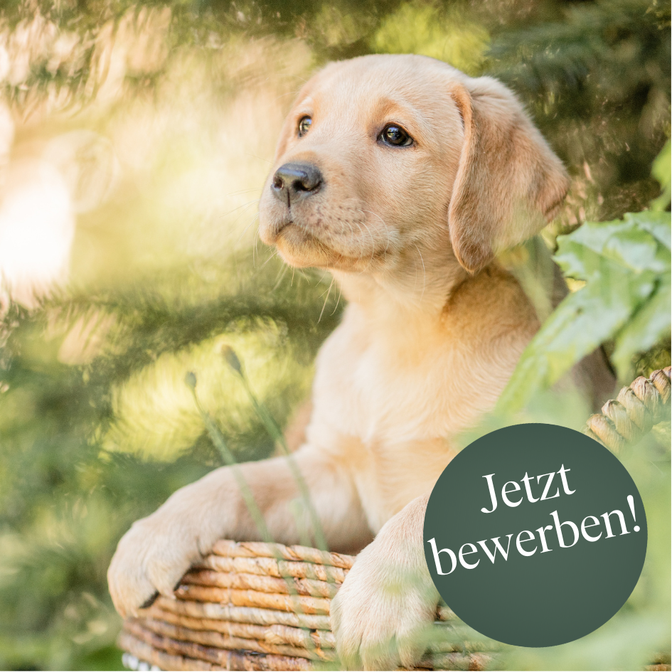 Fachberater/in Zooabteilung (m/w/d) Fachberater/in Zooabteilung (m/w/d)